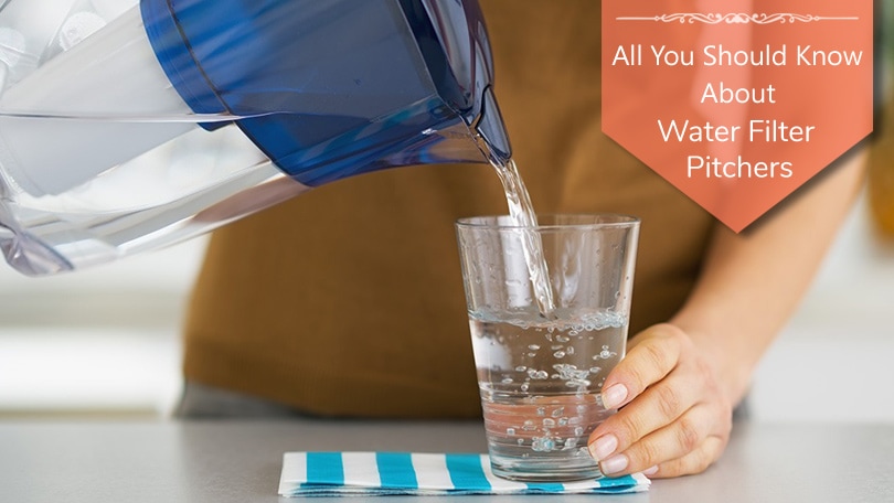 All You Should Know About Water Filter Pitchers All You Should Know About Water Filter Pitchers