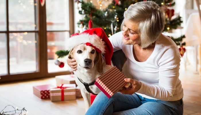 Christmas Gifts Ideas For Your Dog
