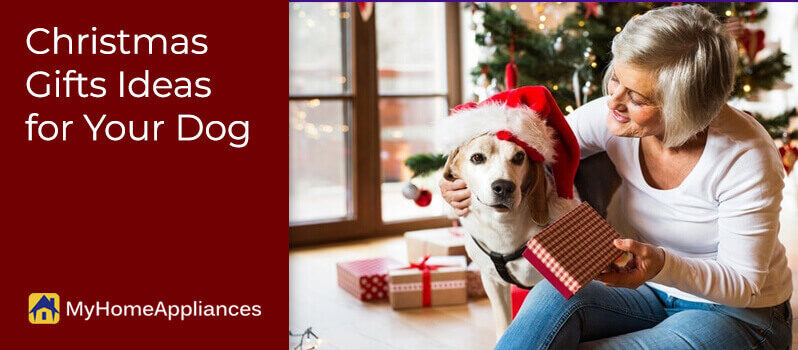 Christmas Gifts Ideas for Your Dog